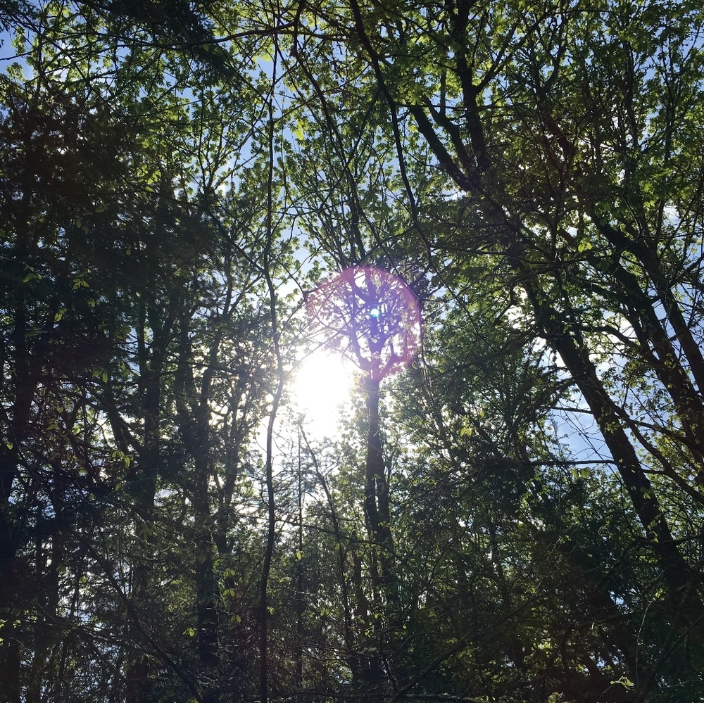 Meet your Posher, Jeannine